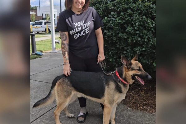 Woman visits shelter a year after dog went missing — and spots a very familiar face