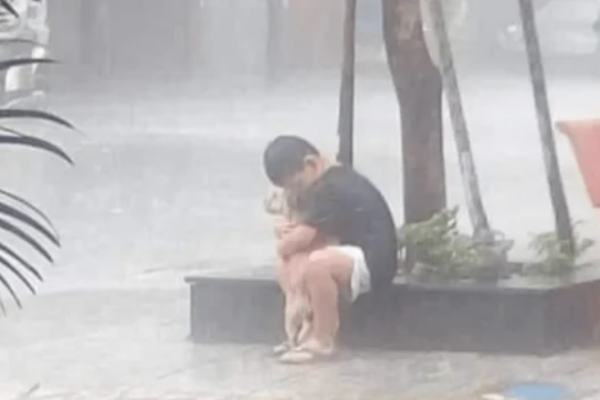A heartwarming story: a boy bravely holds his dog in the rain, melting the hearts of millions.