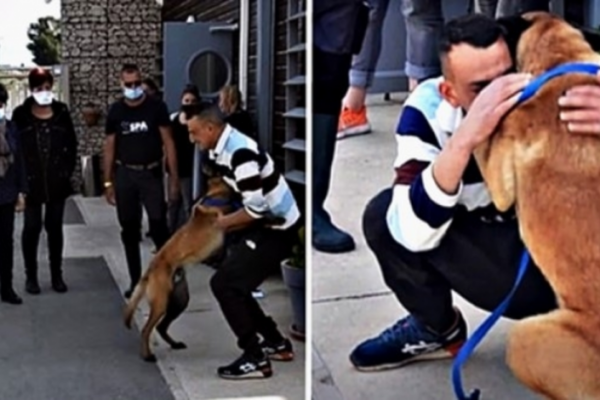 Man traveled 310 miles to find his stolen dog, and their reunion is the sweetest