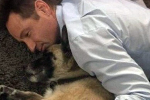 David Duchovny announces death of beloved rescue dog Brick: shares beautiful poem as tribute