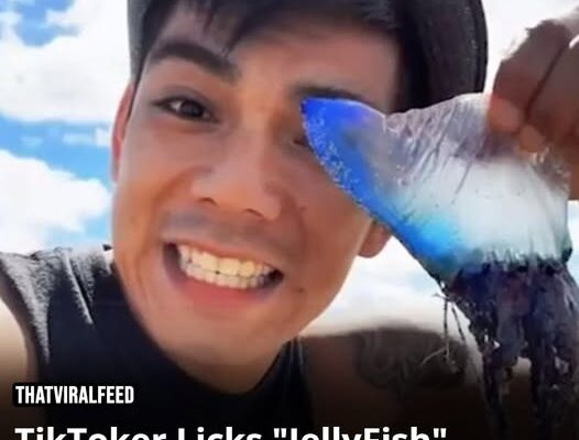 TikToker Licks “JellyFish” Without Realizing It’s A Deadly Portuguese Man o’ War