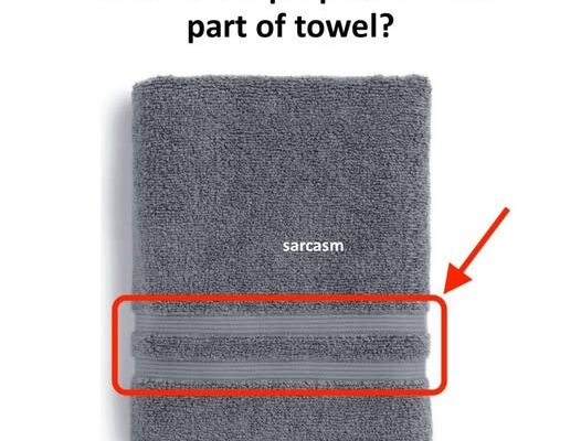 The Mystery of Towel Lines Finally Solved — And the Answer Might Surprise You