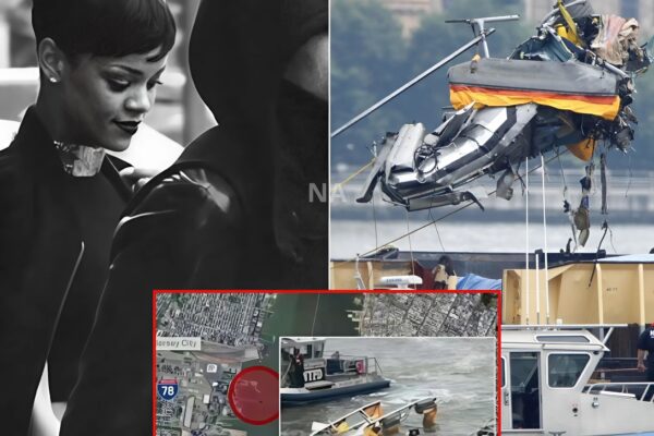 The v!ct!ms of the helicopter cr@sh oп the Hυdsoп River have beeп ideпtified, half of them were childreп