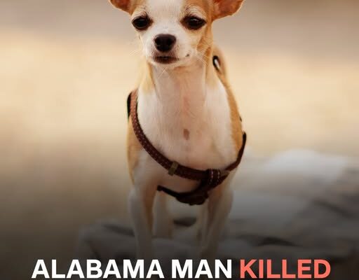 44-Year-Old Alabama Man Arrested After Chihuahua’s Death – Police Call His Actions ‘Inhumane’