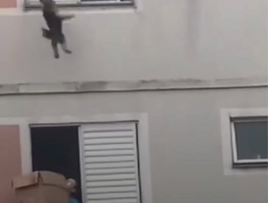 Woman Hailed A Hero After Saving Dog Who Fell From Apartment Window