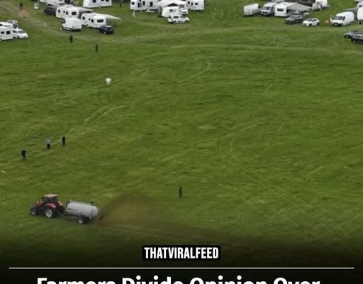 Farmers Divide Opinion With Their Bold Move To Remove Caravans