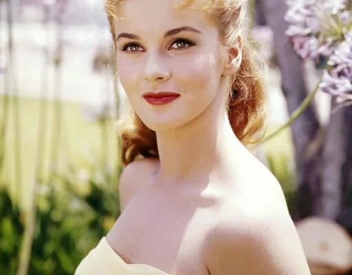 his Hollywood stunner was everyone’s crush back in the 60s. This is her at 84