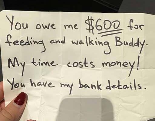 My Mother-in-Law Demanded $600 for Watching Our Dog While I Was in Labor — I Agreed, but Only on One Condition –
