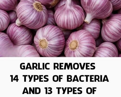 Garlic and Cloves: Two Treasures for Your Health