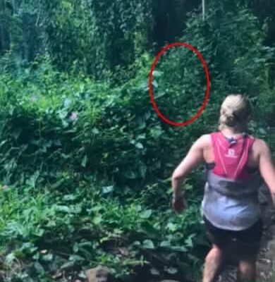 Runner in the Rainforest Snaps Strange Photo: Might It Be the Hawaiian Legend?