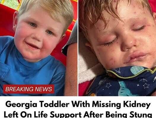 Little by little, his fragile body began to give out 😞