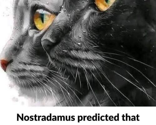The Surprising Spiritual Meaning of Your Cat: Did Nostradamus Leave Us a Clue?