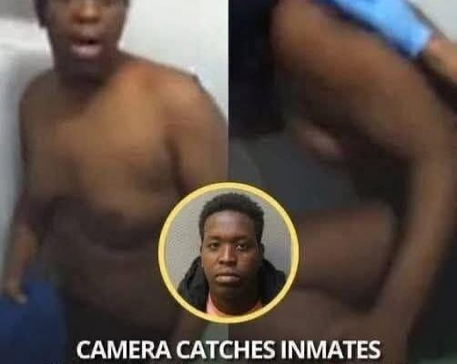 Camera Captures