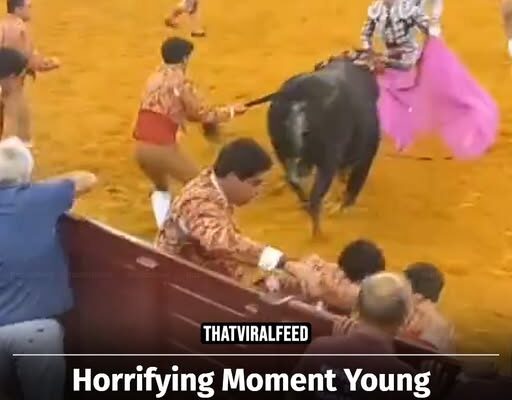 Horrifying Moment Young Bullfighter Dies After Being Lifted And Smashed Into Wall By Bull In Front Of Shocked Crowd