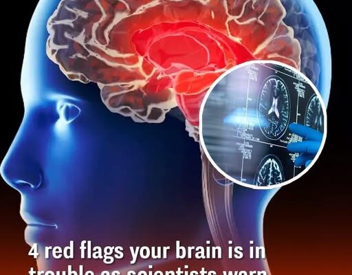 4 Red Flags Your Brain Might Be in Trouble as Experts Warn Alzheimer’s Can Start Decades Before Symptoms Appear