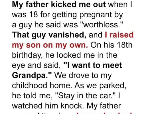 My Dad Kicked Me Out When He Found Out I Was Pregnant — 18 Years Later, My Son Paid Him a Visit