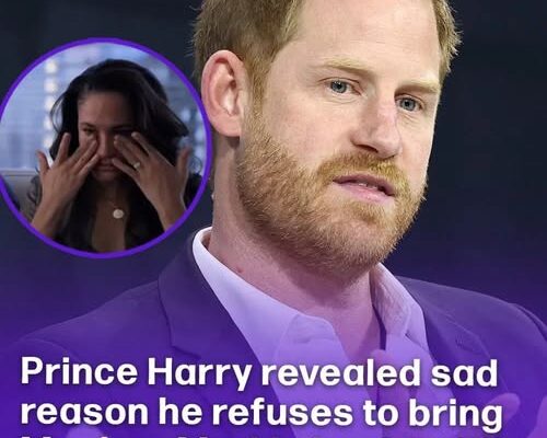 Prince Harry Revealed the Sad Reason He Refuses to Bring Meghan Markle Back to the UK