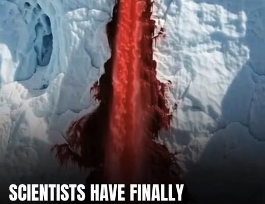 The Mystery Behind The Blood Falls In Antarctica