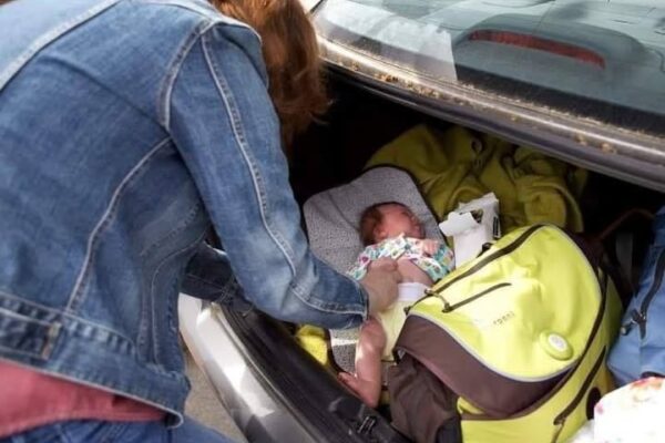 A grandmother impressed an entire country with the courage she showed to save her grandson.