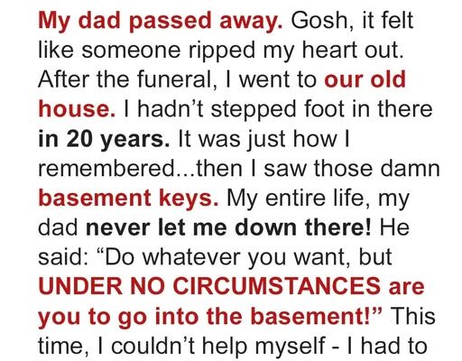My Dad Forbade Me From Ever Entering The Basement—Now I Know Why He Was Scared