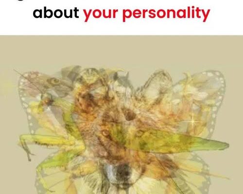 First Animal You Spot Reveals Your True Character