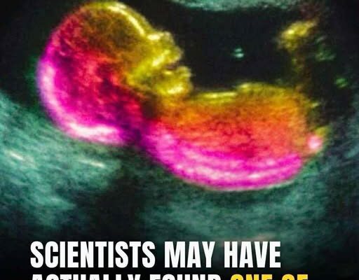 Study identifies possible connection to autism development