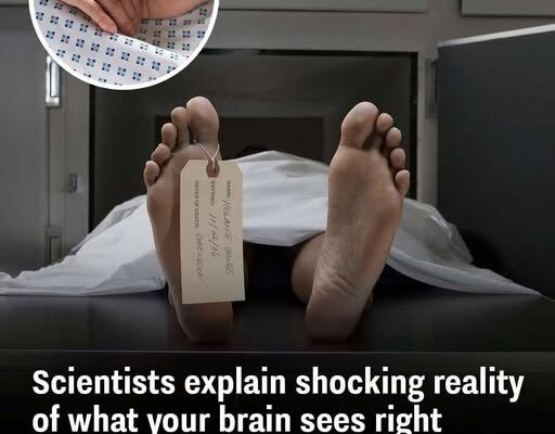 Scientists explain shocking reality of what your brain sees right before death