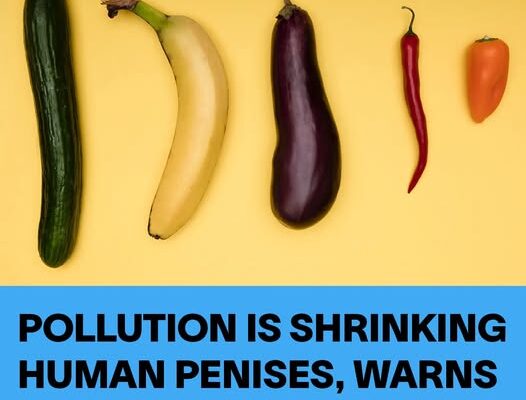 Pollution is Shrinking Human Penises, Warns Scientist