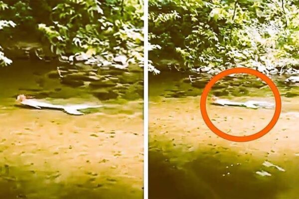 A Spine-Chilling Discovery: Unveiling the Mystery Figure