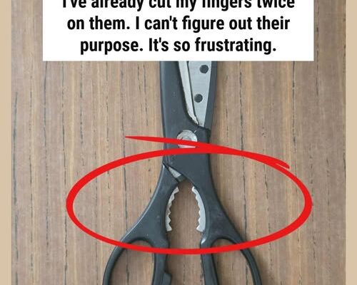 What are these metal teeth between the blades of my kitchen scissors? I’ve already cut my fingers twice on them. I can’t figure out their purpose—it’s so frustrating.🧐