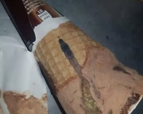 My daughter opened a package of chocolate ice cream and found something strange inside: we were surprised to realize what it was