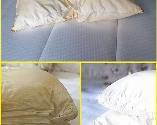 HomeHere’s how to clean dirty pillows from bed to leave them white and sweet scent… Here’s how to clean dirty pillows from bed to leave them white and sweet scent…
