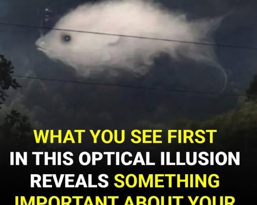 Test: What you see first reveals something important about your personality