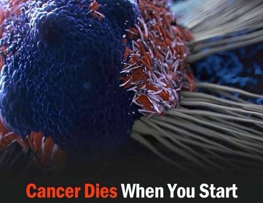 7 powerful anti-cancer foods you should start including in your diet