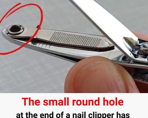 The “small round hole” on the nail clipper has special and powerful uses