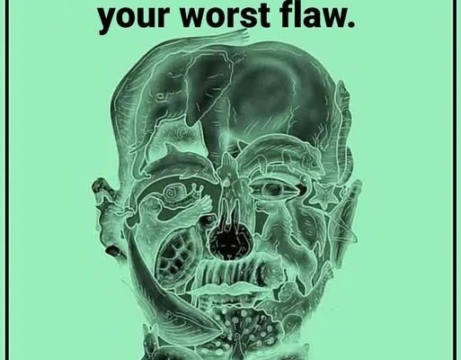 This visual test reveals your ‘worst flaw’ based on the first animal you see