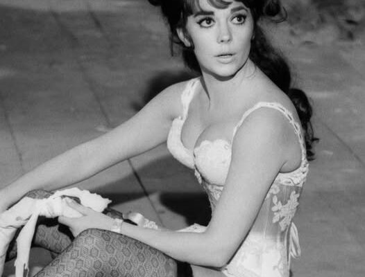 A Legendary Star Who Captivated Millions, But Left Us Too Soon at Just 43!: Who Is She?