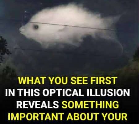 Optical illusion: What you see first reveals something important about your personality