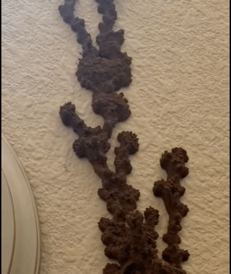 The Hidden Problem Behind an Everyday Wall
