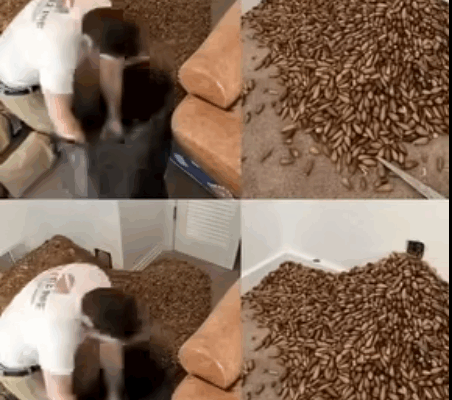 He Noticed a Strange Smell in His House — What He Found Hidden in the Wall Left Him Speechless