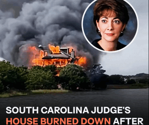 Fire Breaks Out at Judge Diane Goodstein’s South Carolina Home