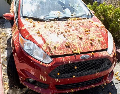 “He Egged My Car for Blocking His Halloween Decorations – I Got Him Back with a Twist He’ll Never Forget”